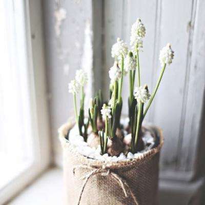 AOA体育手机app下载