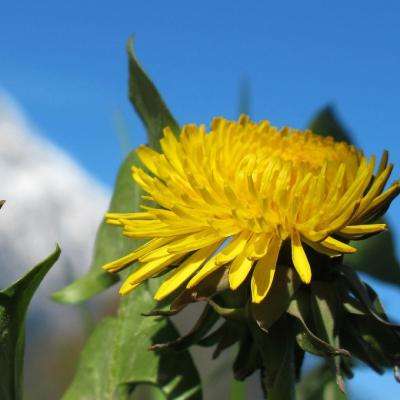 NG体育·(南宫)官方网站